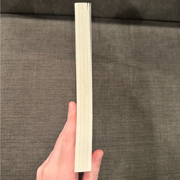 Book In Case You Missed It by Sarah Darer Littman - Picture 3 of 3